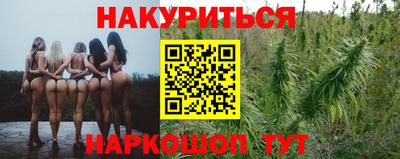 спиды Обь