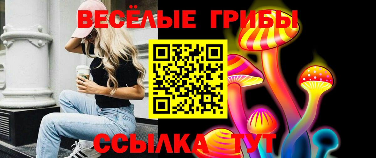 Псилоцибиновые грибы Psilocybe Волоколамск