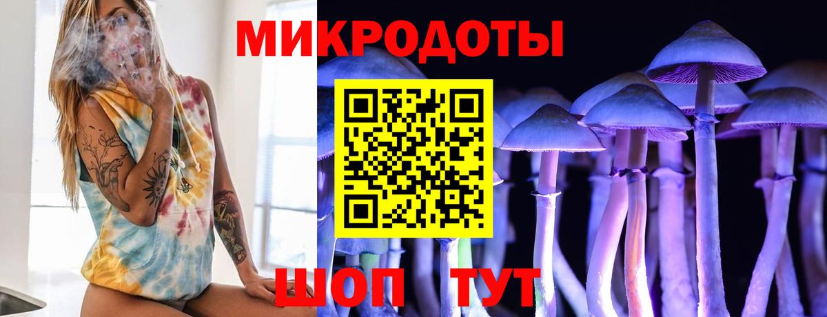 Псилоцибиновые грибы Psilocybine cubensis Волоколамск